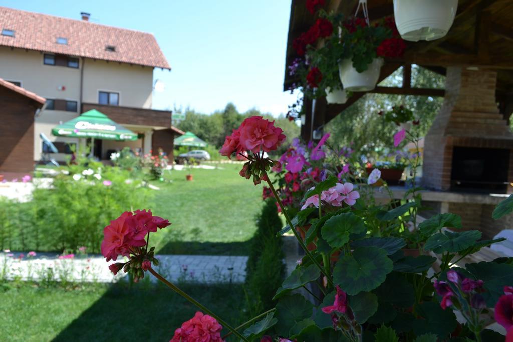Pensiunea Royal Garden Hotell Sîmbăta de Sus Exteriör bild