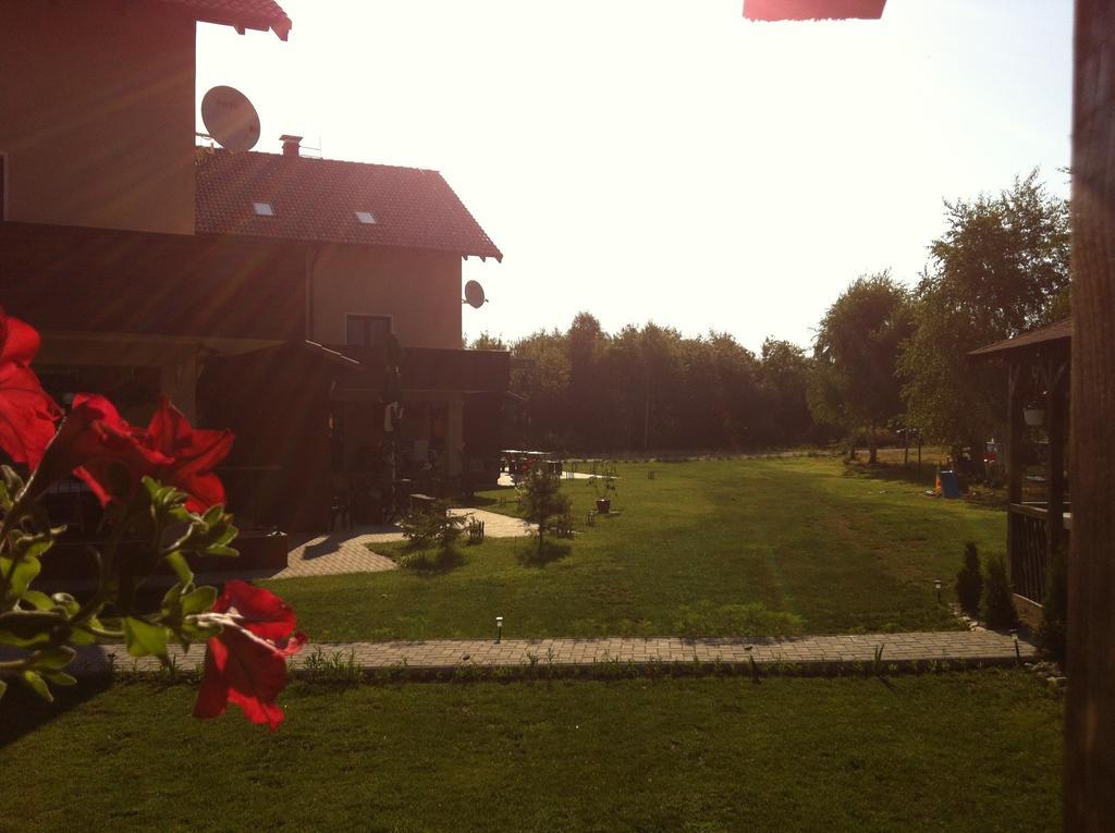 Pensiunea Royal Garden Hotell Sîmbăta de Sus Exteriör bild